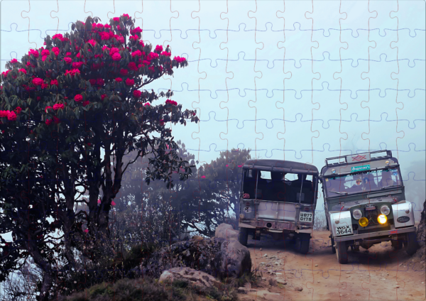 Landrovers in Sandakphu